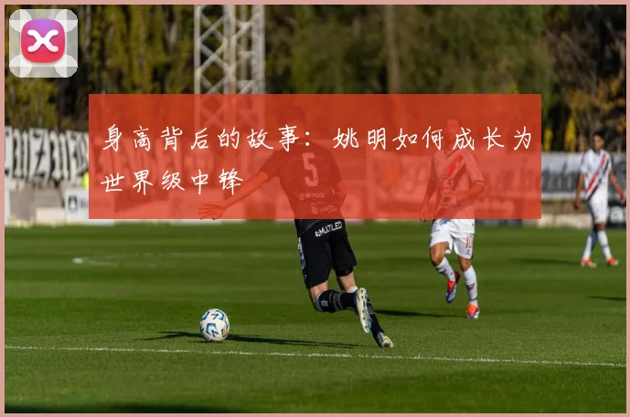 身高背后的故事：姚明如何成长为世界级中锋