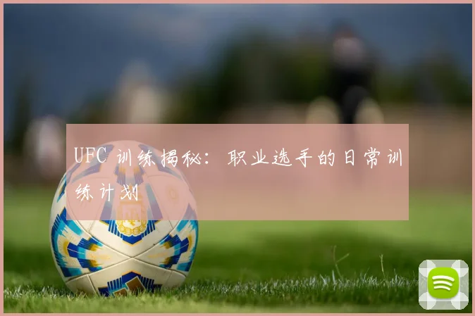 UFC 训练揭秘：职业选手的日常训练计划