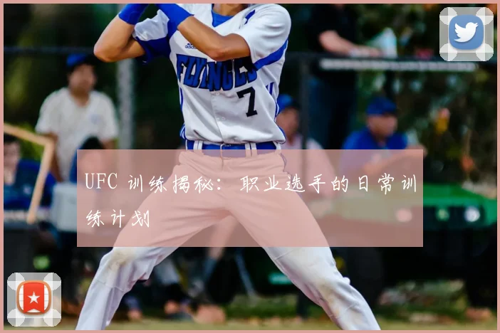 UFC 训练揭秘：职业选手的日常训练计划