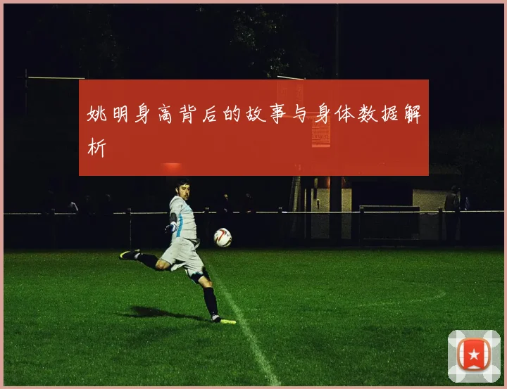 姚明身高背后的故事与身体数据解析
